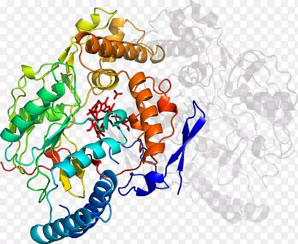 ���߼�����-��-������