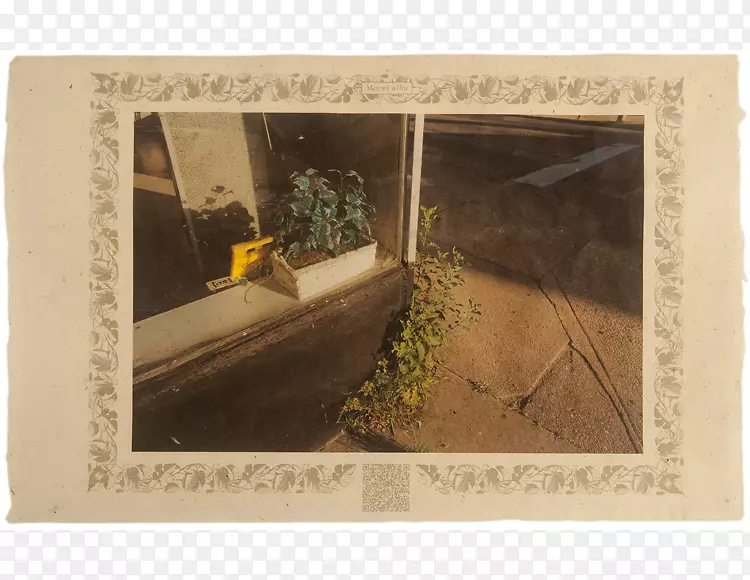 ������ɣ��ˮ��-������