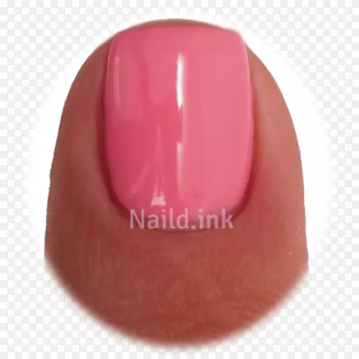 ���Ӷ�-������