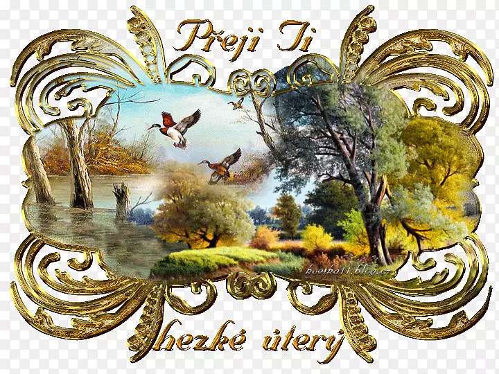 �����ڷۺ���-����-������