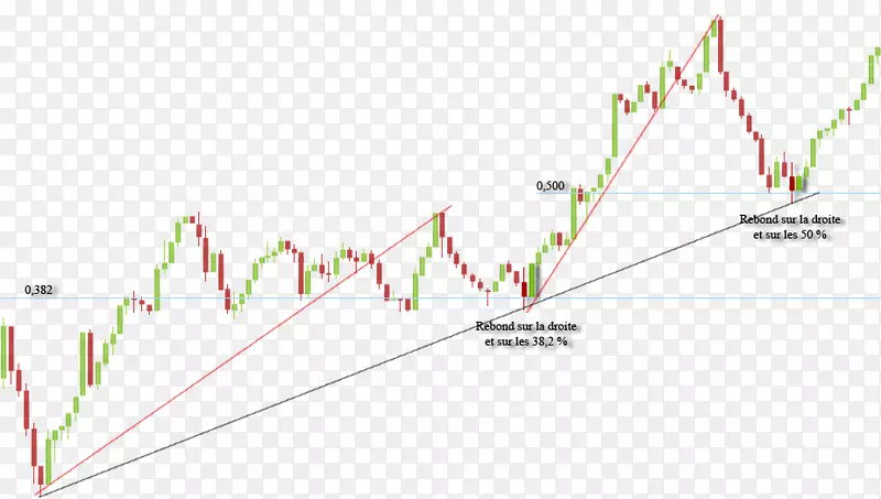 ֱ�ߵ����-������