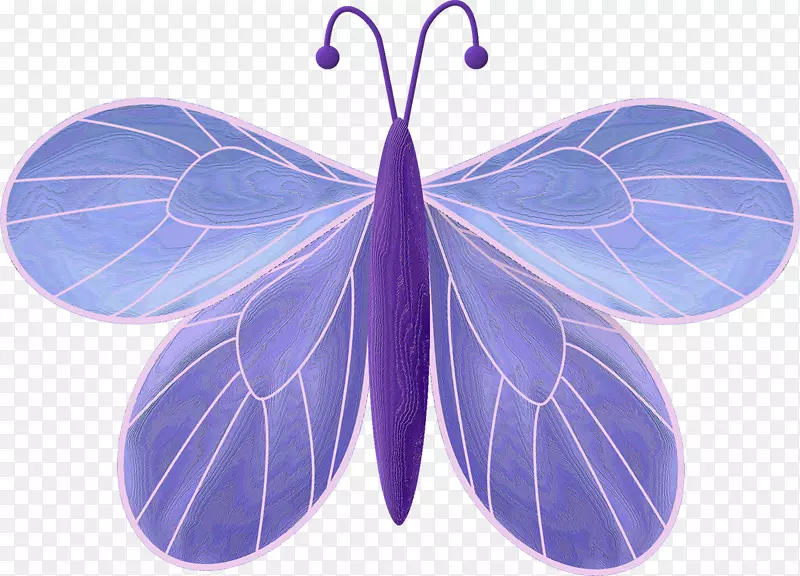 �Գ�-����-������