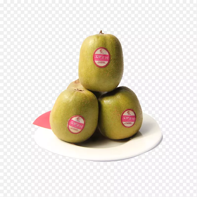 �Ѷѵ���⨺���-������