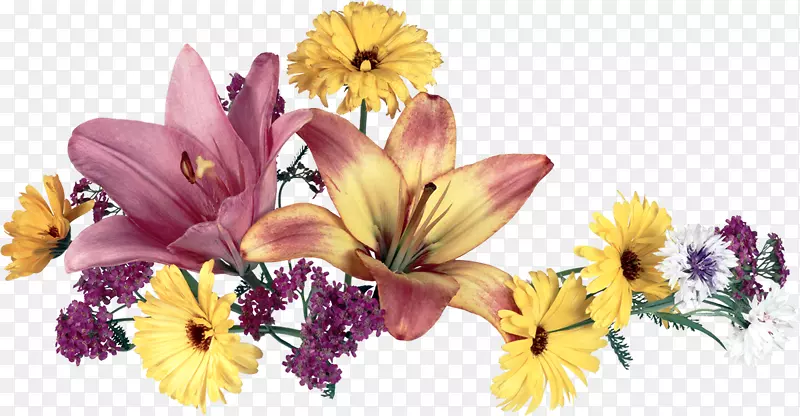 ����˹����(Adasta rereduktsii-�ʻ�)�滭-������