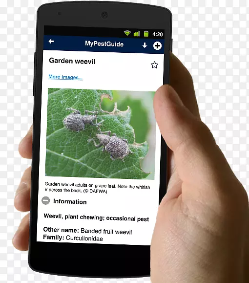 �����ֻ�������ָũҵ-�����ֻ�-������