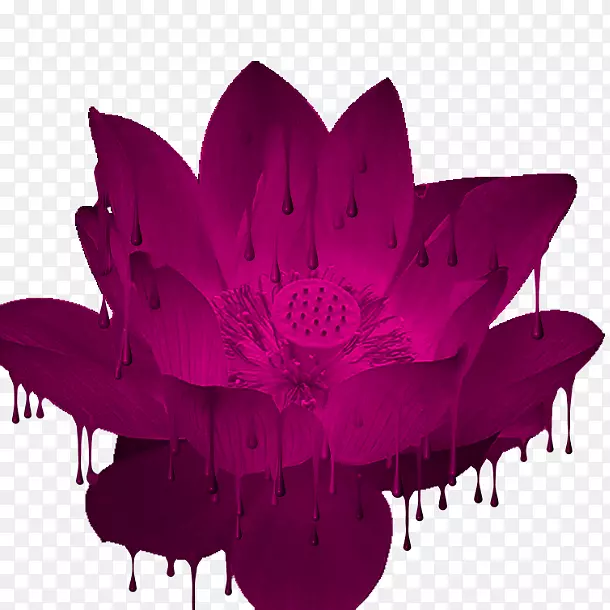 Lofter���ͻ���-acab-������