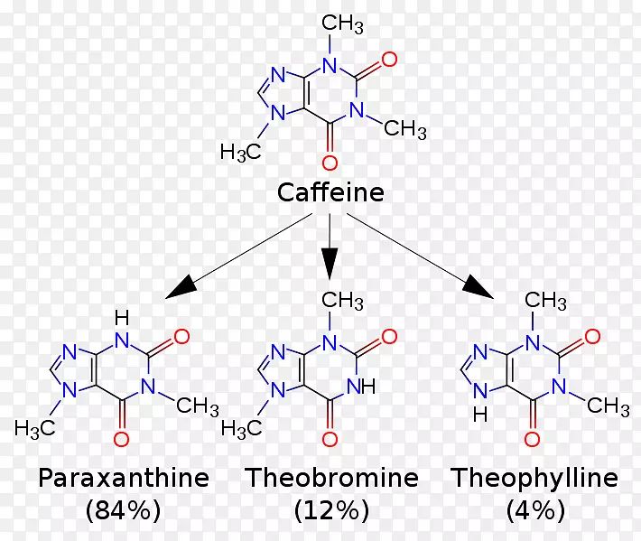 ���Ȳ��-����-������