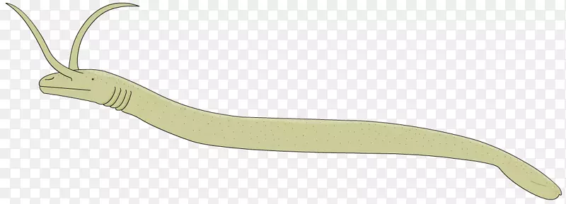 ���ж���-����ʳ����-������