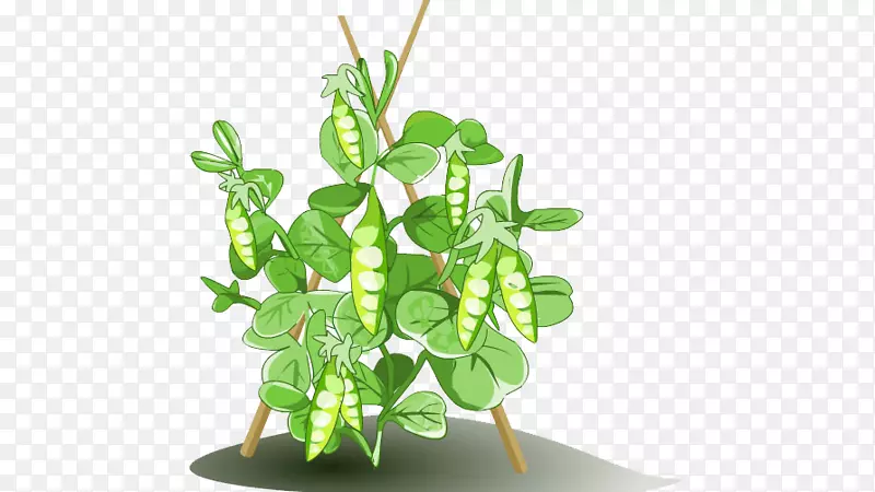 �߲�-�߲�-������