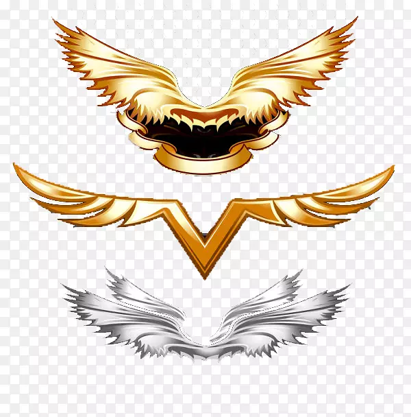 ��������������.����ͼ�����-������