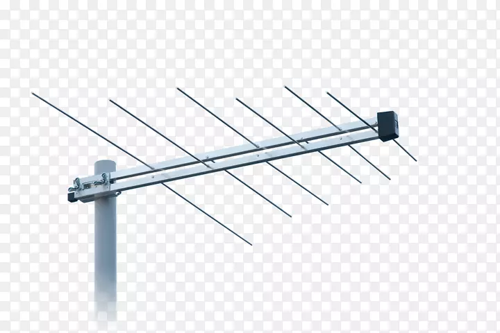 �����������ֵ������-������