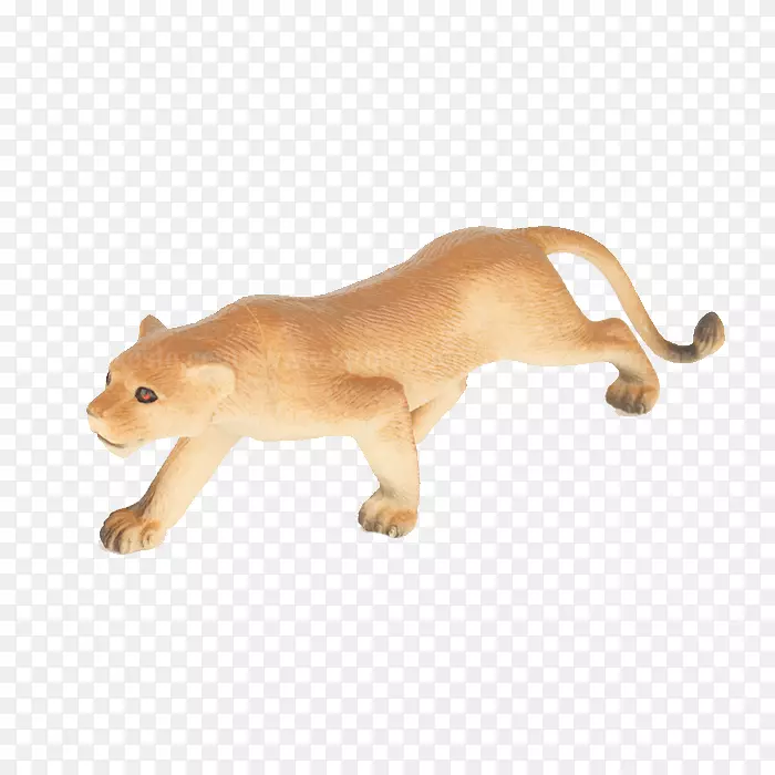 ��è½����������ʨ-�������-������