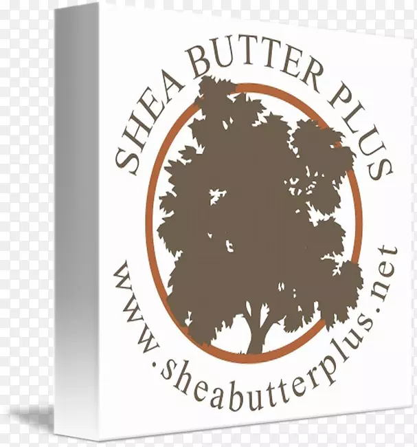 ����������ĸ-������