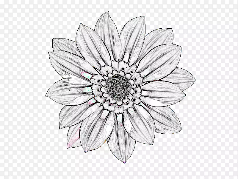 �л���ɫ�Գ�������-������