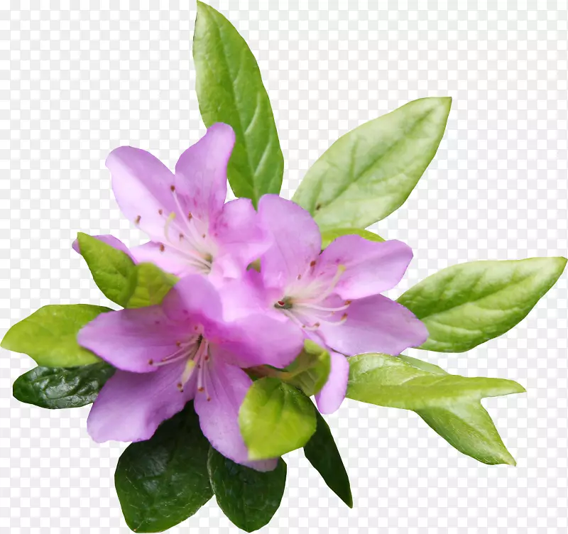 �����Ϳ˰��ϴ�˹ԡ�׶���-������