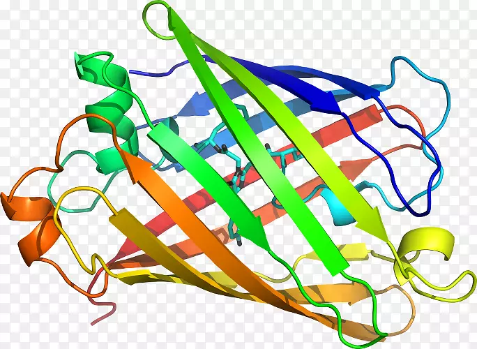 ֲ�ﾥ�߲��߼�����-�߲�-������