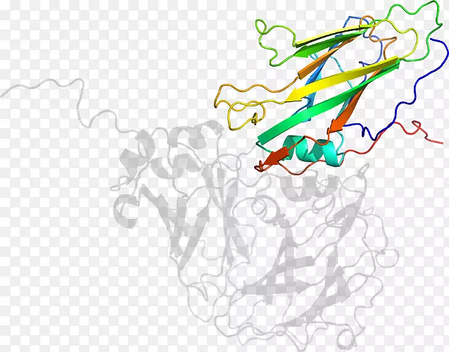 ���߼�����-��-������