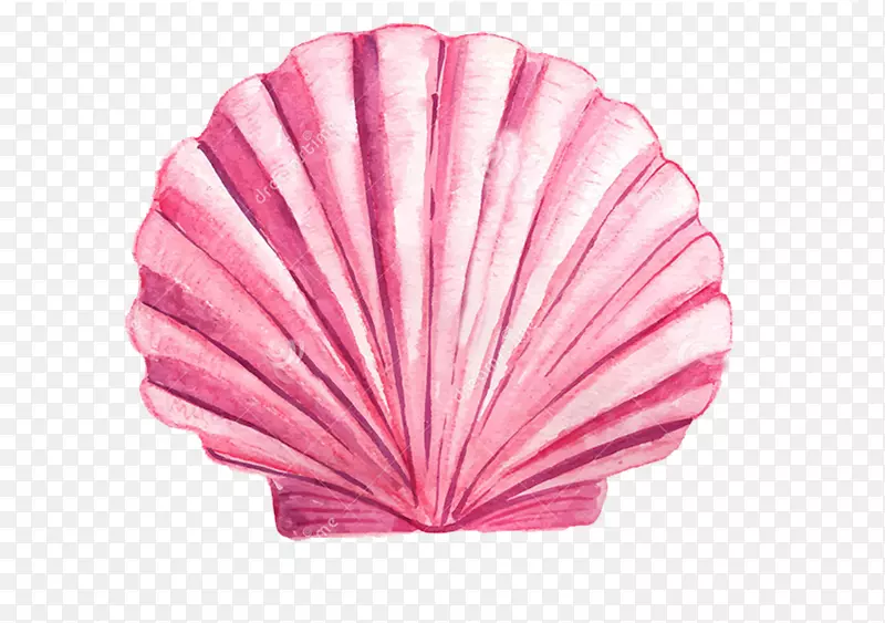 ˮ�ʻ�ˮ�ʻ�-������