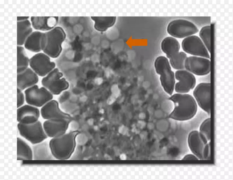 �����-������