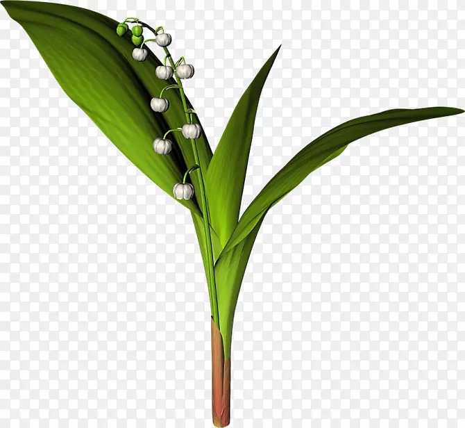 �Ŷ�װ������ͼƬ����-������