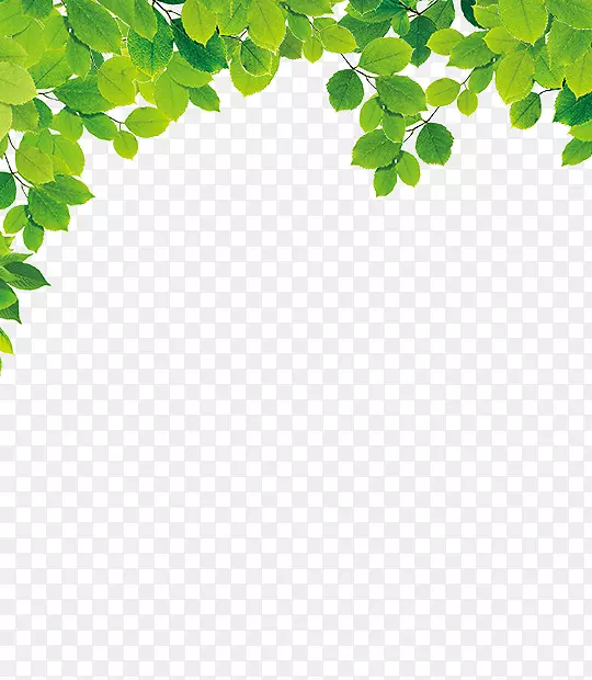 ��Ҷ-������Ҷ-������