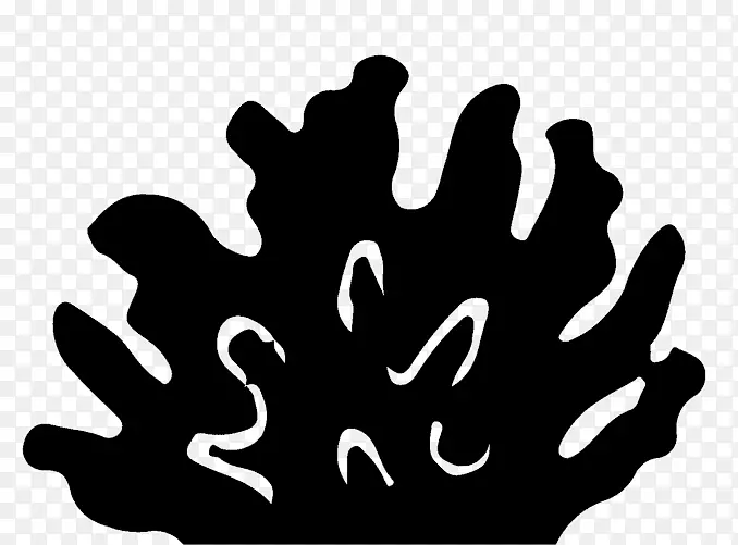 ��ָ������ɫ��������-������