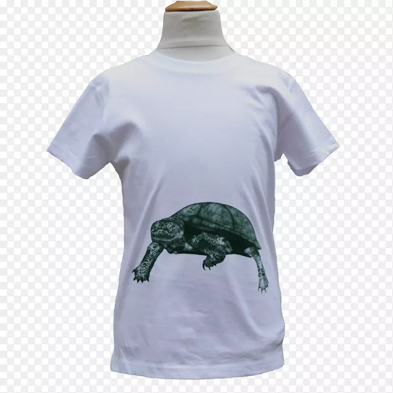 t�����ӱ��������ߺ���.�����к�-������