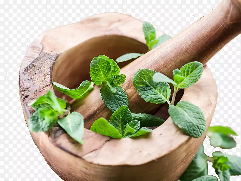 ��ҩ����Ӫ��ѧ��-������