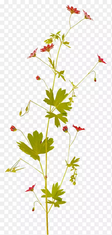 �������������-��-������