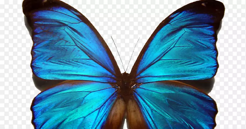 �����Գ�Noether����-������