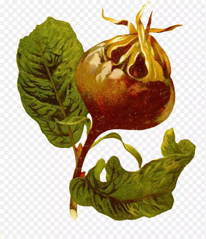 ��ʯ��-ʯ��-������