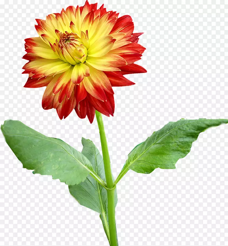 ������������-������-������