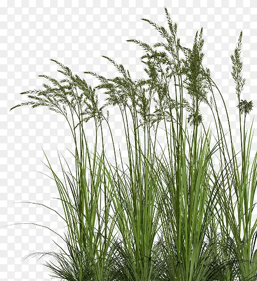 ���Ĳ������ԭ��-������