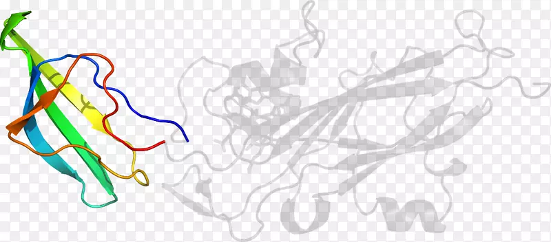 ƽ��������������������-������