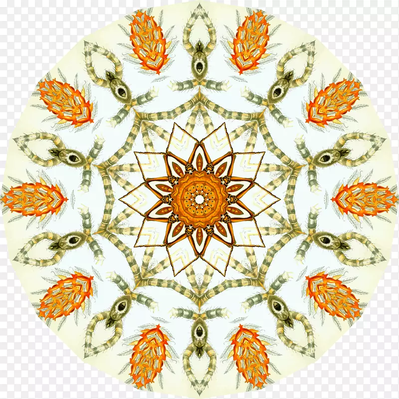 �Գƻ��ߴ�����ͼ��-��-������