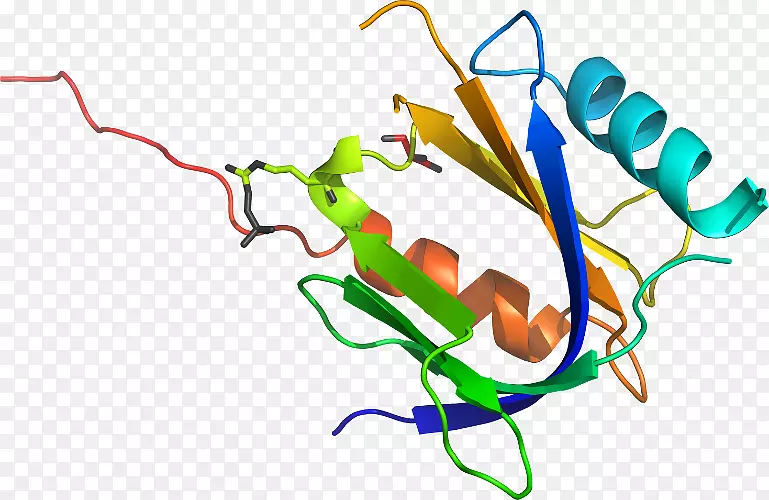 �ߵ������������-������