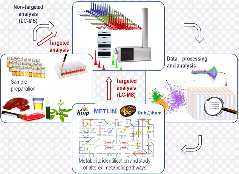 ���������-������