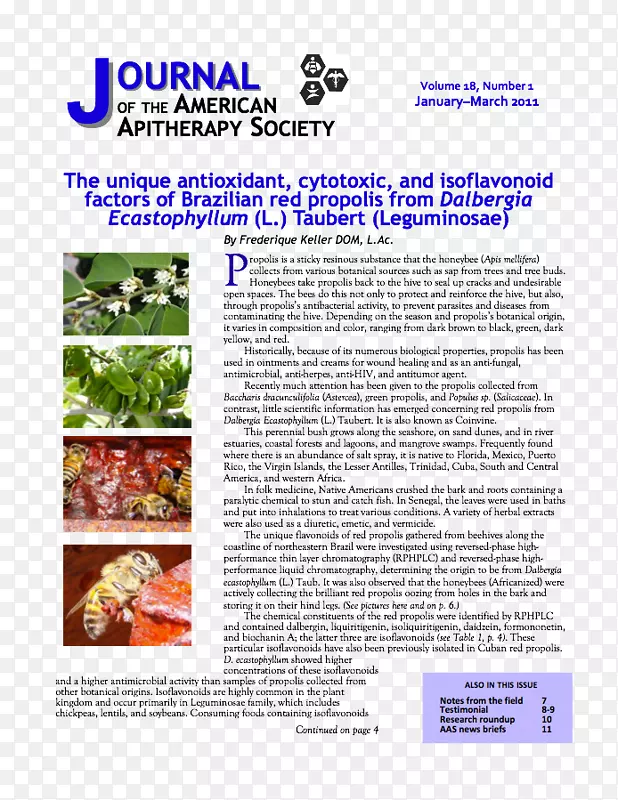 ʳ��-������