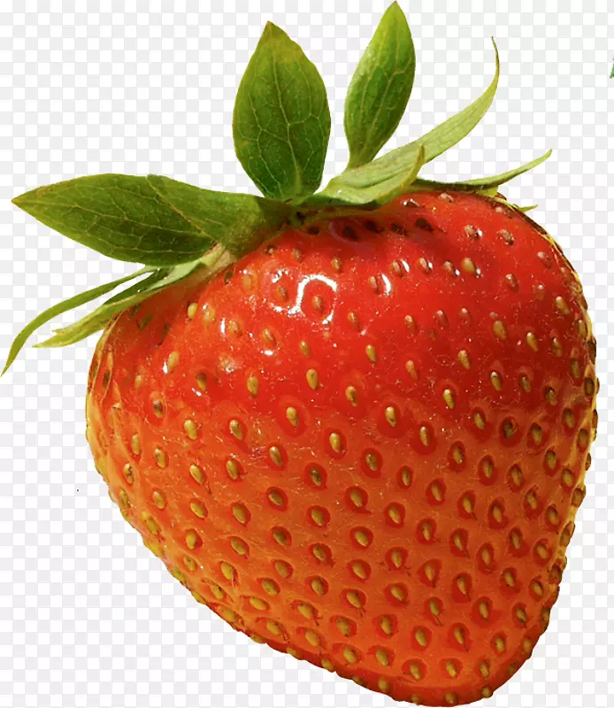 �¸���˹��ݮ��ɭ��ɣ�ǡ��䷽��ɹ˪�ɷ�-������