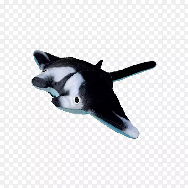 ���ͼ������ͺ�����͵�-������