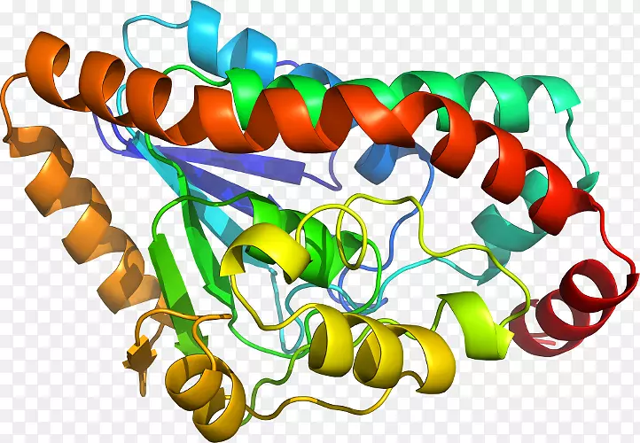 �л��������-������