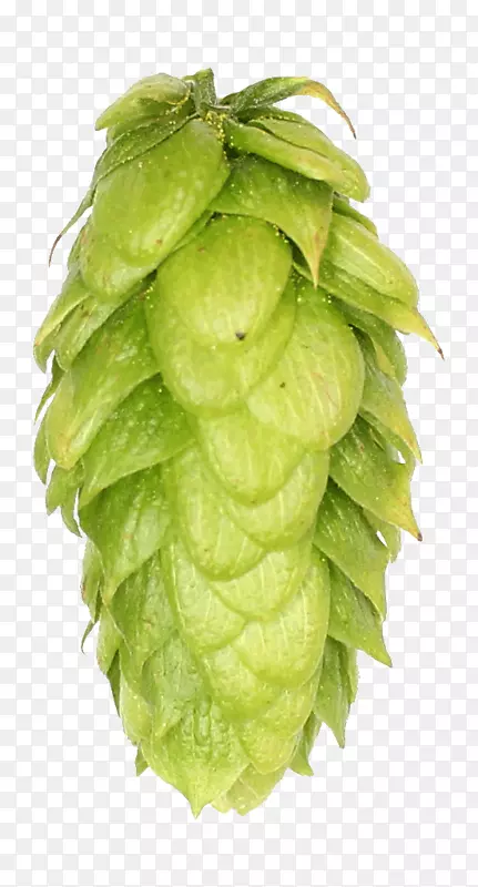 ˮ��-������