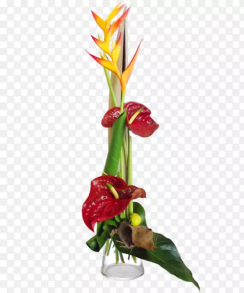 ������ƣ��л���������ӡ�Ȼ���-������