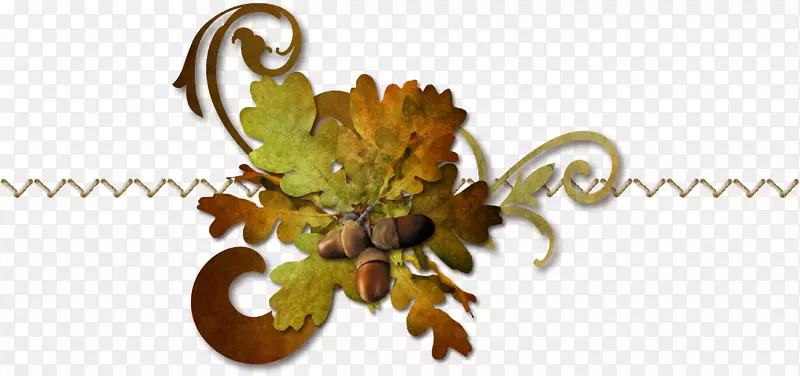 [ҽ]��˿��Ҷ-������