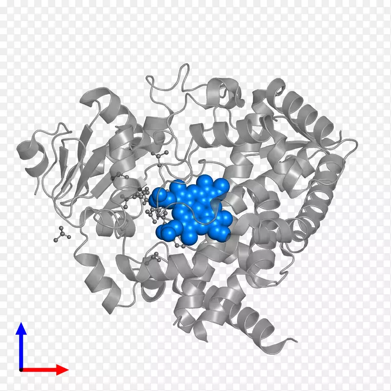 �������鱦��������-������