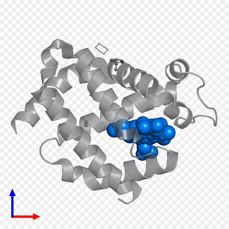 ����ɫ��������.���-������