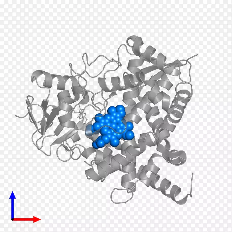 �������鱦��������-������