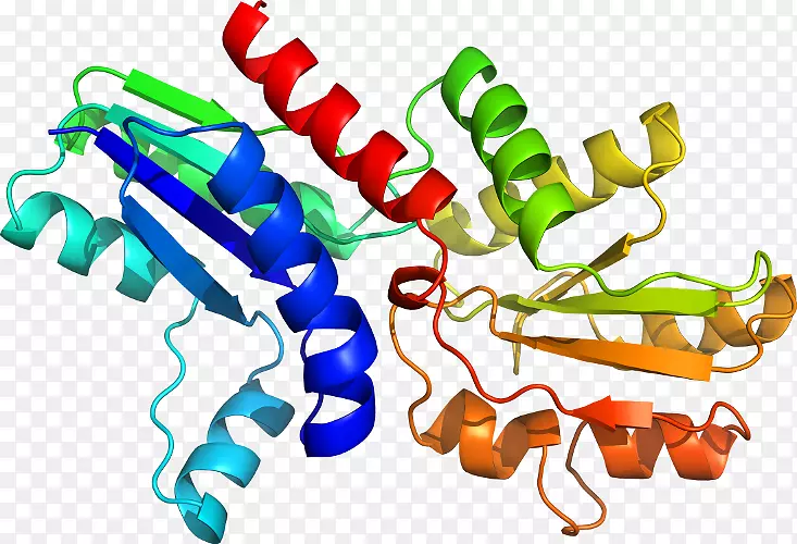 �����߶����������-������