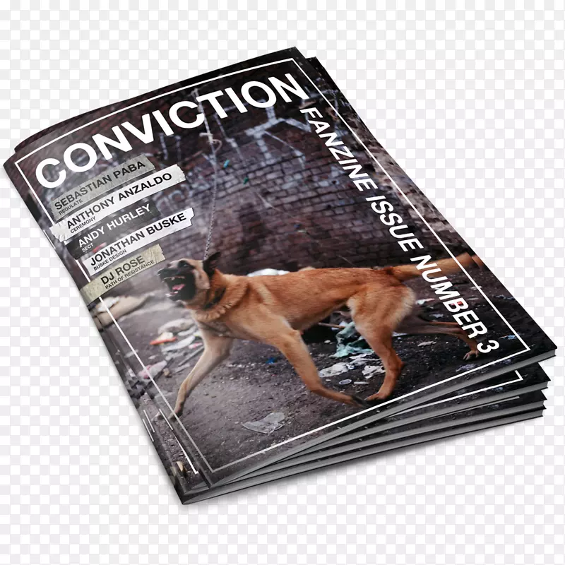 ����-��-������