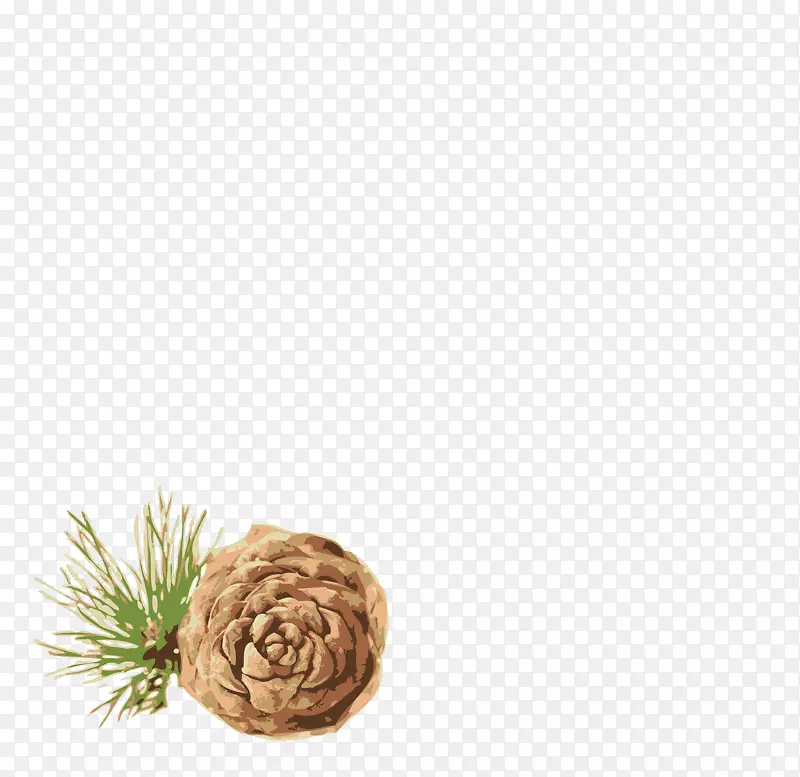 ���͡�ѩ���͡������Ʒ���˾-��-������